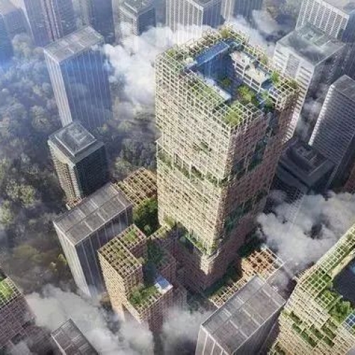 谁是未来建筑材料“新宠”：木质大厦竟比高！